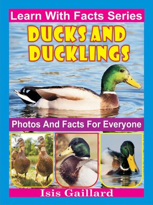 cover image of Ducks and Ducklings Photos and Facts for Everyone